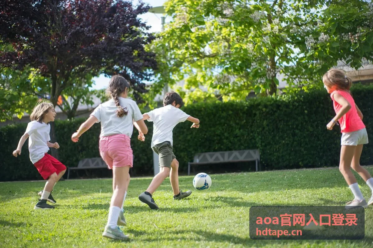 aoa官网入口登录企业微信扫码登录安全授权说明