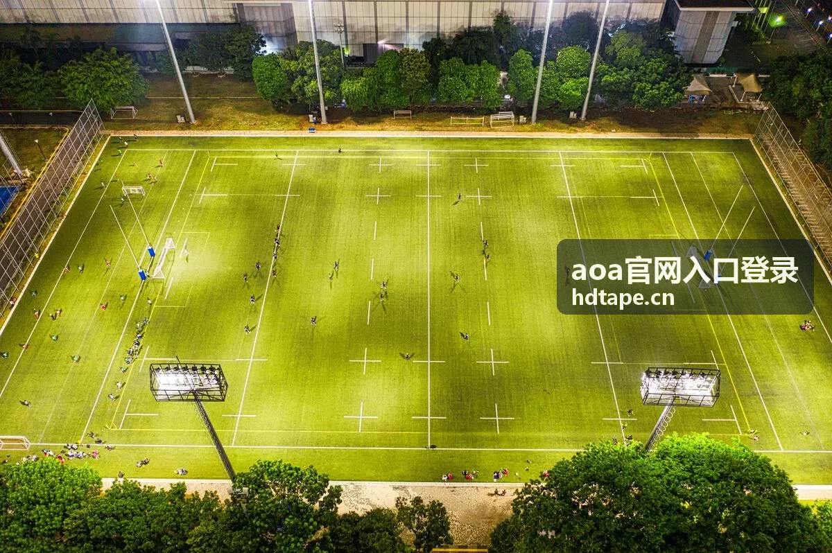 统一身份认证与aoa官网入口登录权限整合示意
