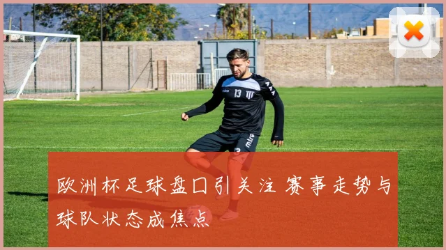 欧洲杯足球盘囗引关注 赛事走势与球队状态成焦点