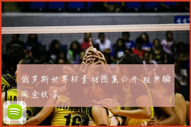 俄罗斯世界杯素材图集公开 经典瞬间全收录